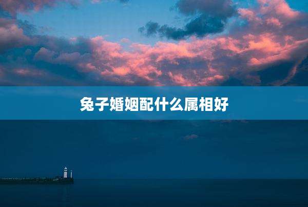 兔子婚姻配什么属相好