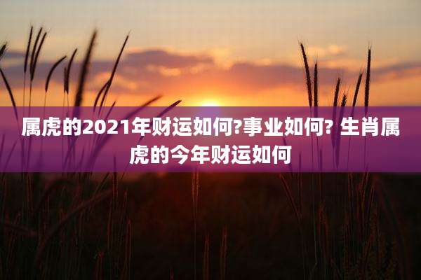 属虎的2021年财运如何?事业如何? 生肖属虎的今年财运如何