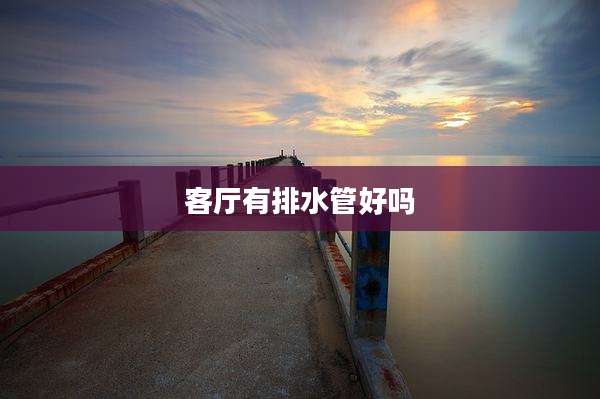 客厅有排水管好吗