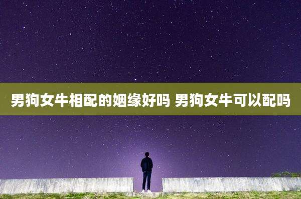 男狗女牛相配的姻缘好吗 男狗女牛可以配吗