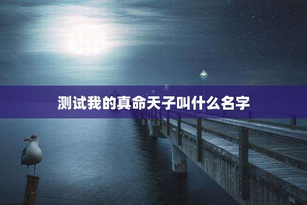 测试我的真命天子叫什么名字
