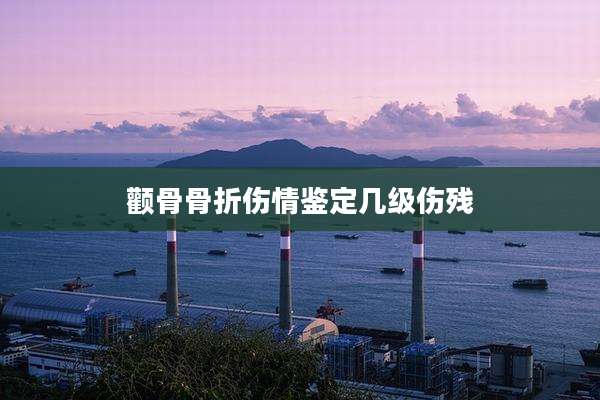 颧骨骨折伤情鉴定几级伤残