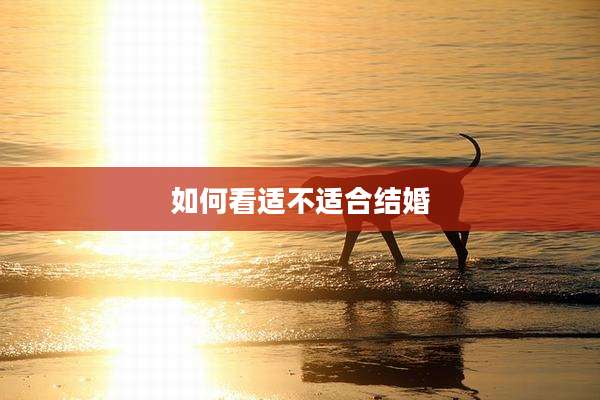 如何看适不适合结婚