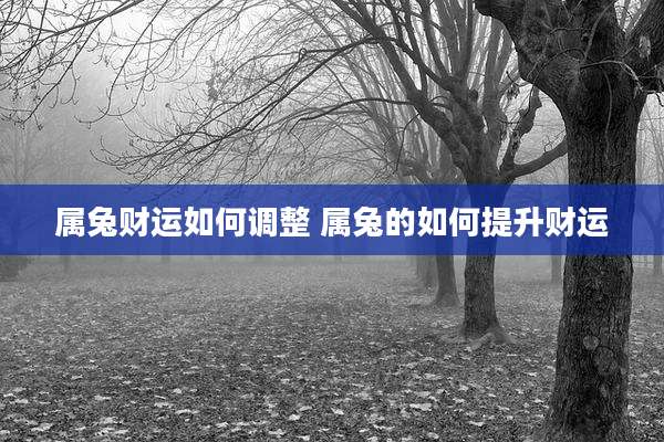 属兔财运如何调整 属兔的如何提升财运