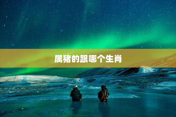 属猪的跟哪个生肖