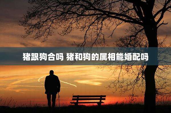 猪跟狗合吗 猪和狗的属相能婚配吗
