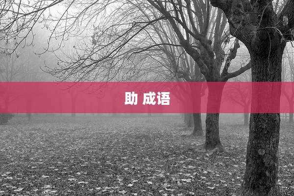 助 成语