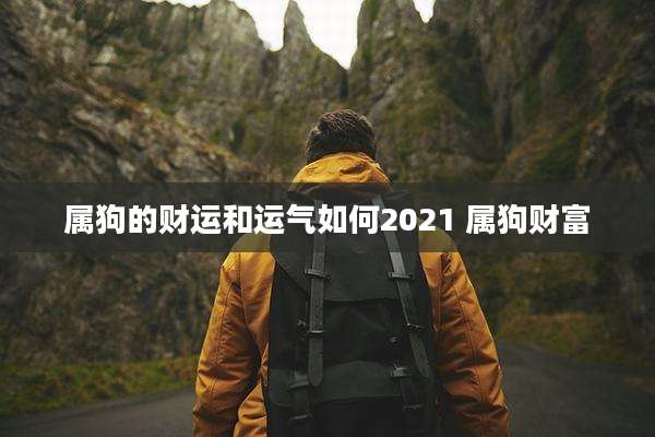 属狗的财运和运气如何2021 属狗财富