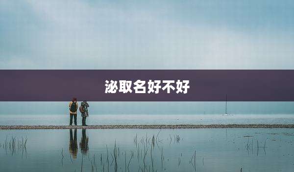 泌取名好不好