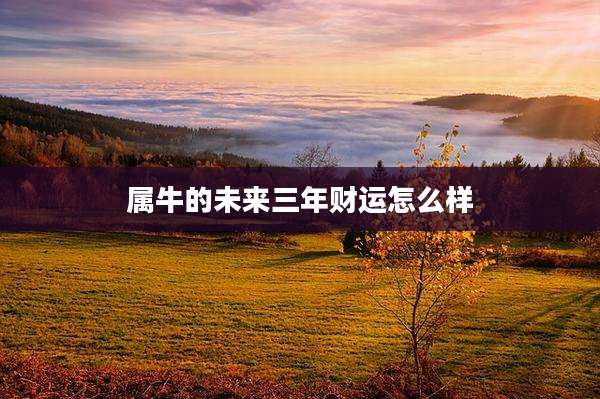 属牛的未来三年财运怎么样