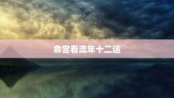 命宫看流年十二运