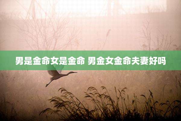 男是金命女是金命 男金女金命夫妻好吗