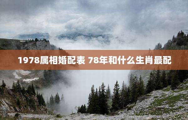 1978属相婚配表 78年和什么生肖最配