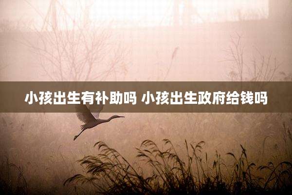 小孩出生有补助吗 小孩出生***给钱吗