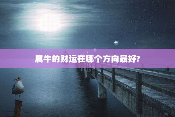 属牛的财运在哪个方向最好?