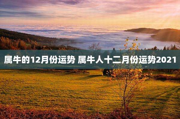 属牛的12月份运势 属牛人十二月份运势2021