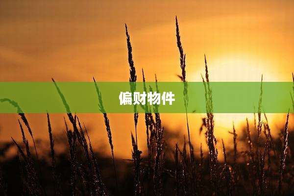 偏财物件