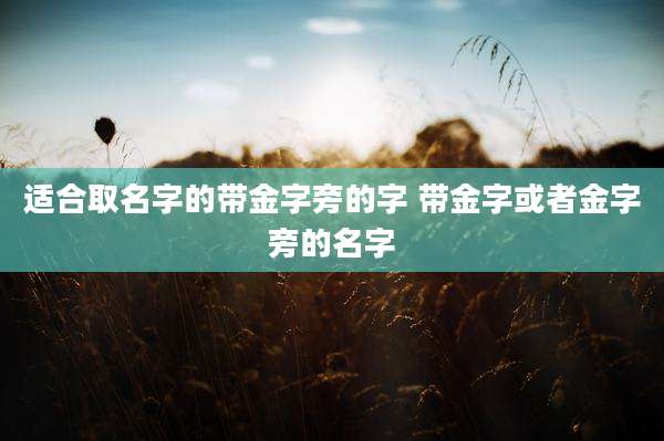 适合取名字的带金字旁的字 带金字或者金字旁的名字