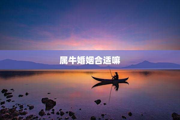 属牛婚姻合适嘛