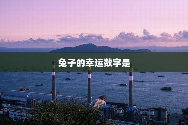 兔子的幸运数字是