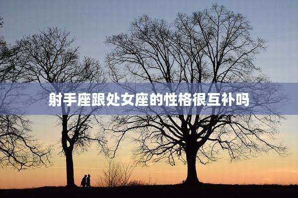 射手座跟处女座的性格很互补吗