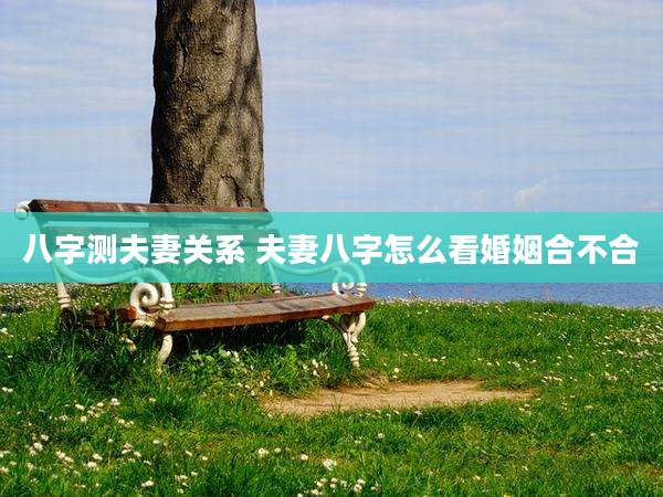 八字测夫妻关系 夫妻八字怎么看婚姻合不合