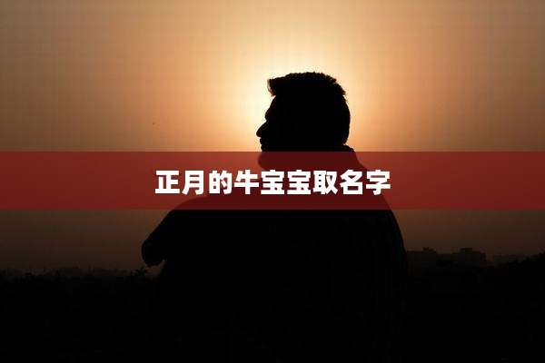 正月的牛宝宝取名字