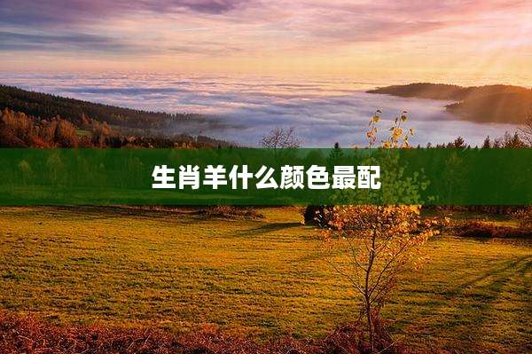 生肖羊什么颜色最配