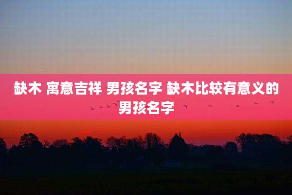 缺木 寓意吉祥 男孩名字 缺木比较有意义的男孩名字