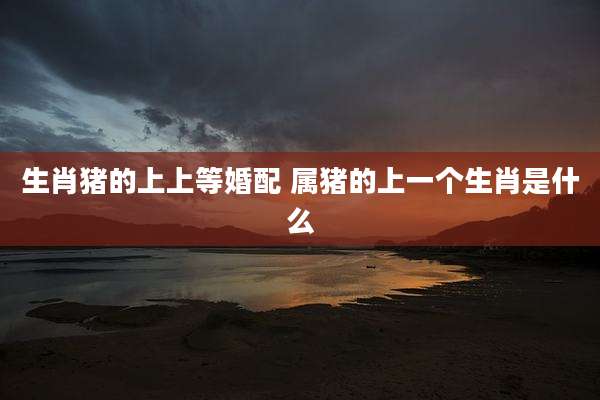 生肖猪的上上等婚配 属猪的上一个生肖是什么