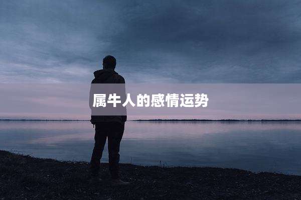 属牛人的感情运势