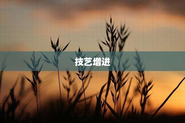 技艺增进