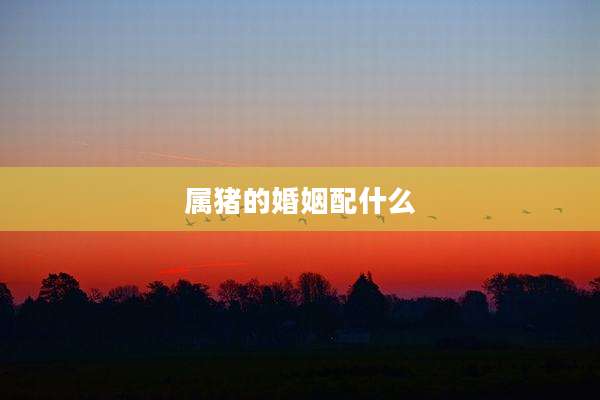 属猪的婚姻配什么