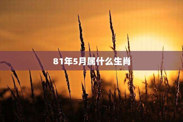 81年5月属什么生肖