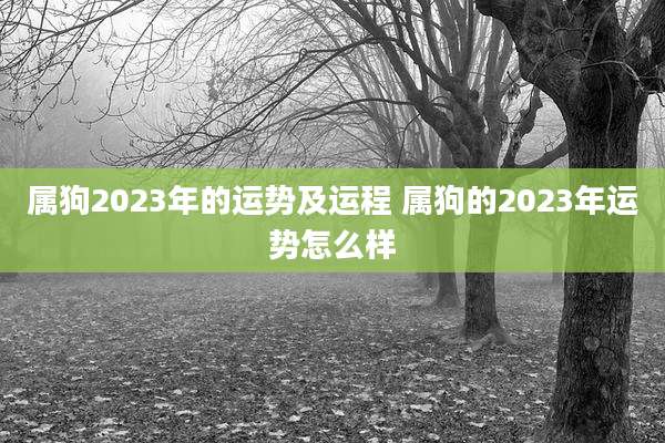 属狗2023年的运势及运程 属狗的2023年运势怎么样