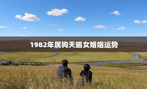 1982年属狗天蝎女婚姻运势