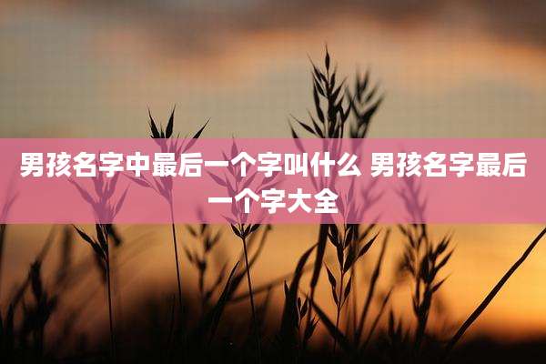 男孩名字中最后一个字叫什么 男孩名字最后一个字大全