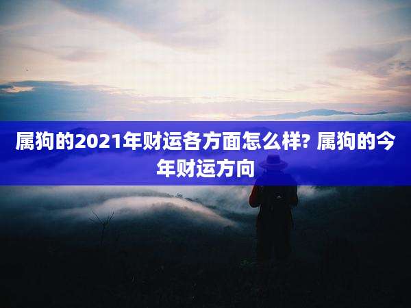 属狗的2021年财运各方面怎么样? 属狗的今年财运方向