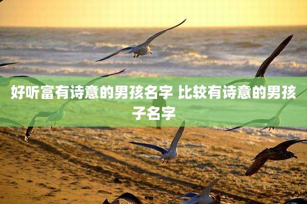 好听富有诗意的男孩名字 比较有诗意的男孩子名字
