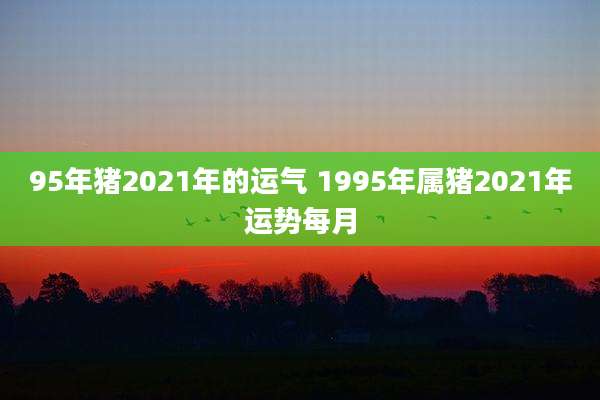 95年猪2021年的运气 1995年属猪2021年运势每月