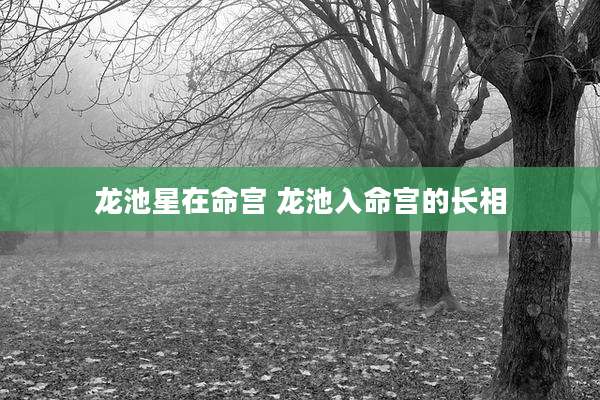 龙池星在命宫 龙池入命宫的长相