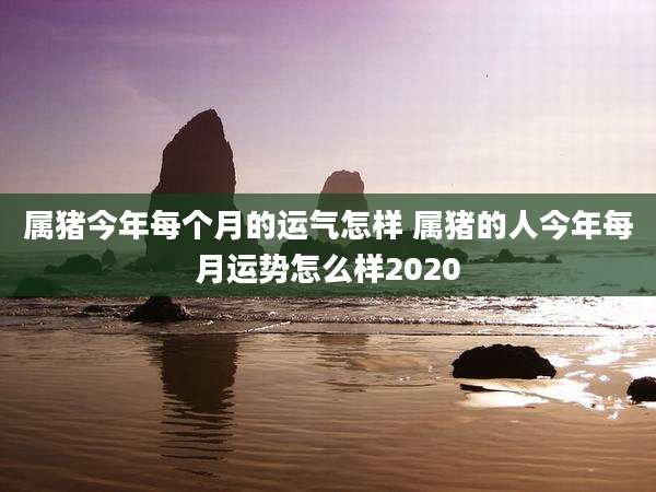 属猪今年每个月的运气怎样 属猪的人今年每月运势怎么样2020
