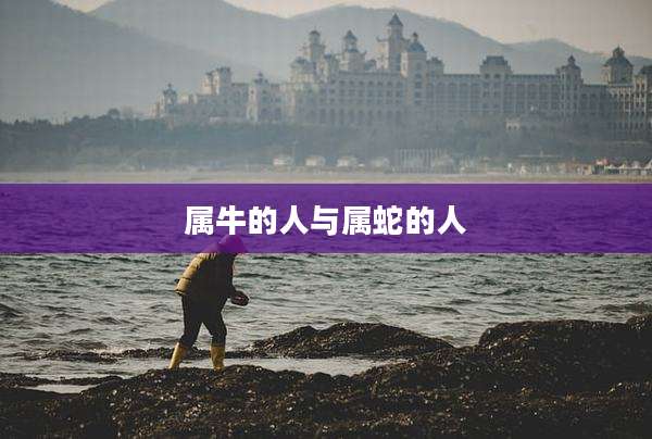 属牛的人与属蛇的人