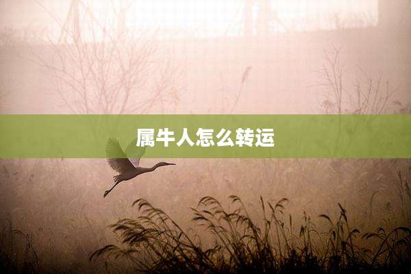 属牛人怎么转运