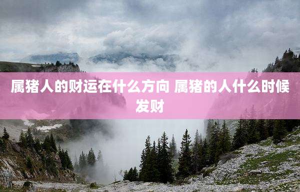 属猪人的财运在什么方向 属猪的人什么时候发财