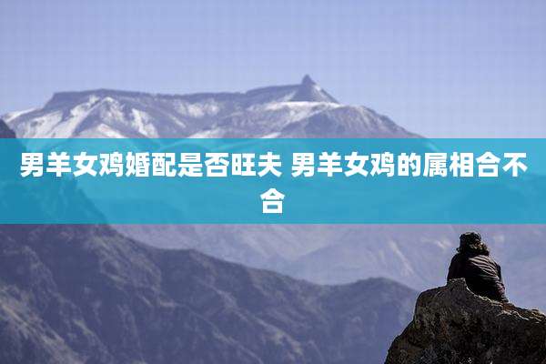 男羊女鸡婚配是否旺夫 男羊女鸡的属相合不合