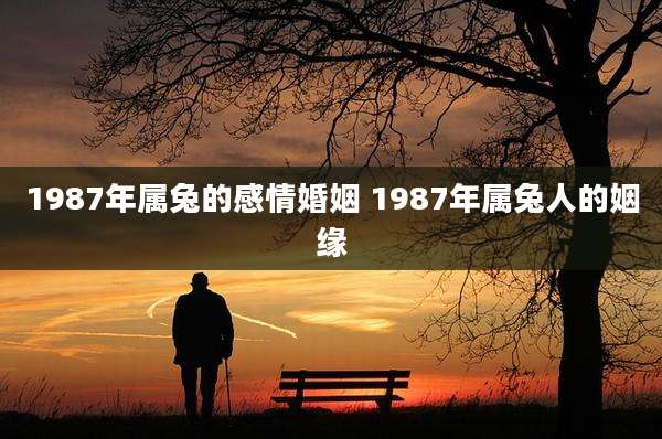1987年属兔的感情婚姻 1987年属兔人的姻缘