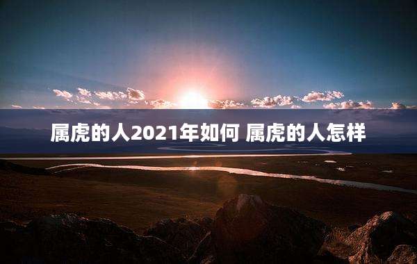 属虎的人2021年如何 属虎的人怎样