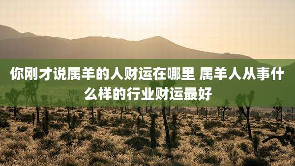 你刚才说属羊的人财运在哪里 属羊人从事什么样的行业财运最好