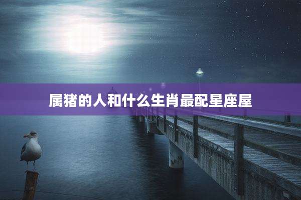 属猪的人和什么生肖最配星座屋